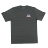 Camiseta Masculina Hurley United States Cinza