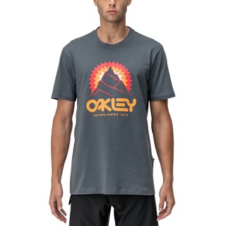 Camiseta Oakley Origins Frog Tee Black Shadow - Cinza