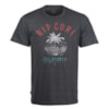 Camiseta Rip Curl Vacay Cinza