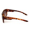Óculos de Sol Evoke The Code II G23 Turtle Matte / Gold Espelhado