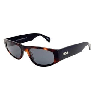Óculos Evoke Lowrider G21 Black Turtle Shine Gray Total